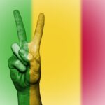 resultats-des-orientations-def-2026-en-ligne