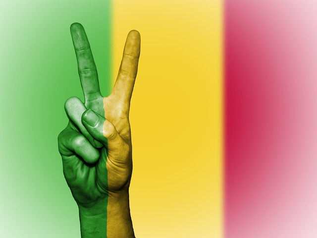 resultats-des-orientations-def-2026-en-ligne
